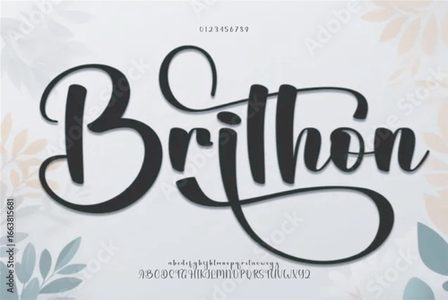 Brithon, Signature Font Calligraphy Logotype Script Brush Font Type Font lettering handwritten
