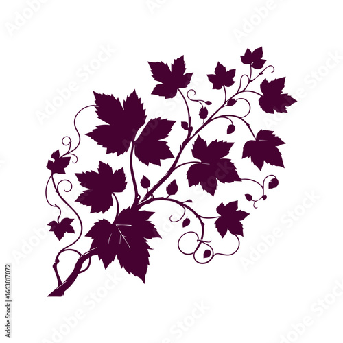 Elegant Grape Vine Leaves Silhouette Vector