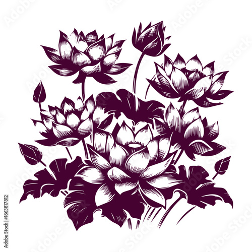 Elegant Stylized Lotus Flower Botanical Illustration