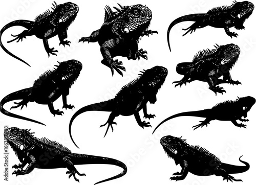 Iguana black sign stock vector. Iguana Vector Image. Vector iguana royalty-free images. Iguana Images. Iguana Vector
