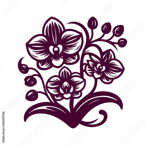 Elegant Stylized Orchid Flowers Illustration