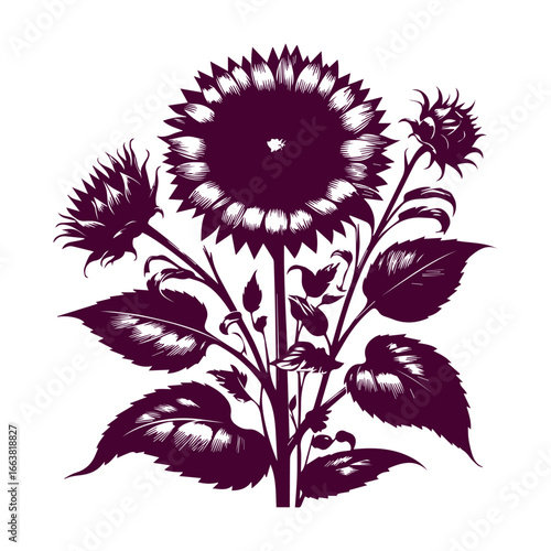Stylized Sunflower Botanical Illustration