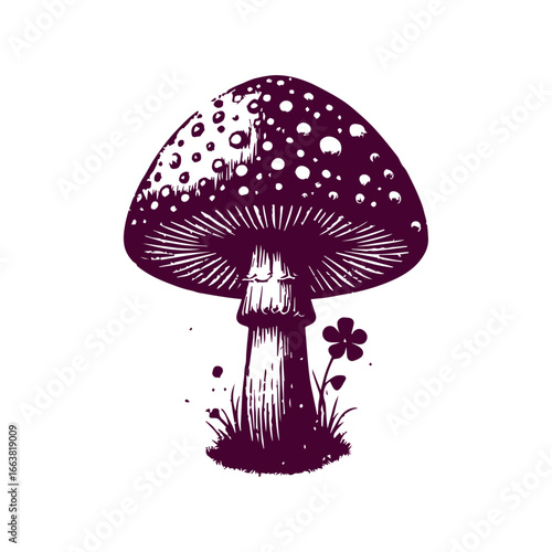 Vintage woodcut style fly agaric mushroom illustration