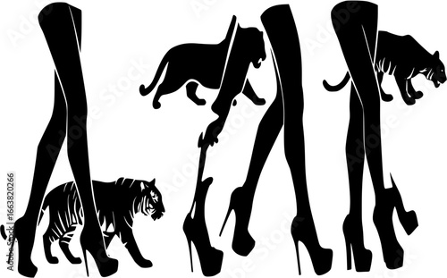 sexy woman slim legs wearing high heels stiletto shoes with walking tiger cat silhouette - black and white vector seductive design set
