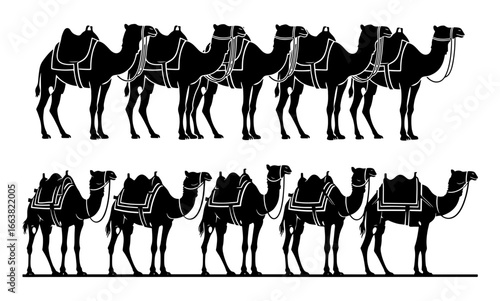 Vector art of silhouette of a caravan of camels walking in a line, isolated on a