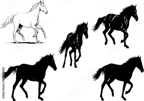 Drawing the silhouette of a running horse
