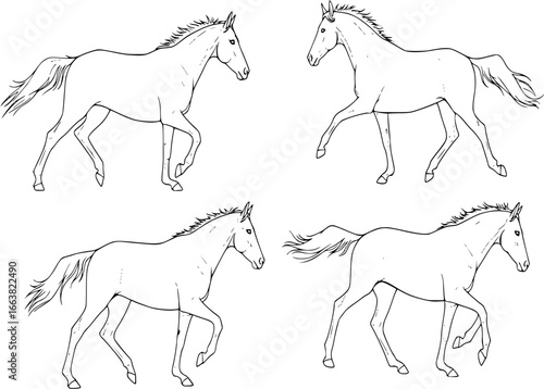 Drawing the silhouette of a running horse
