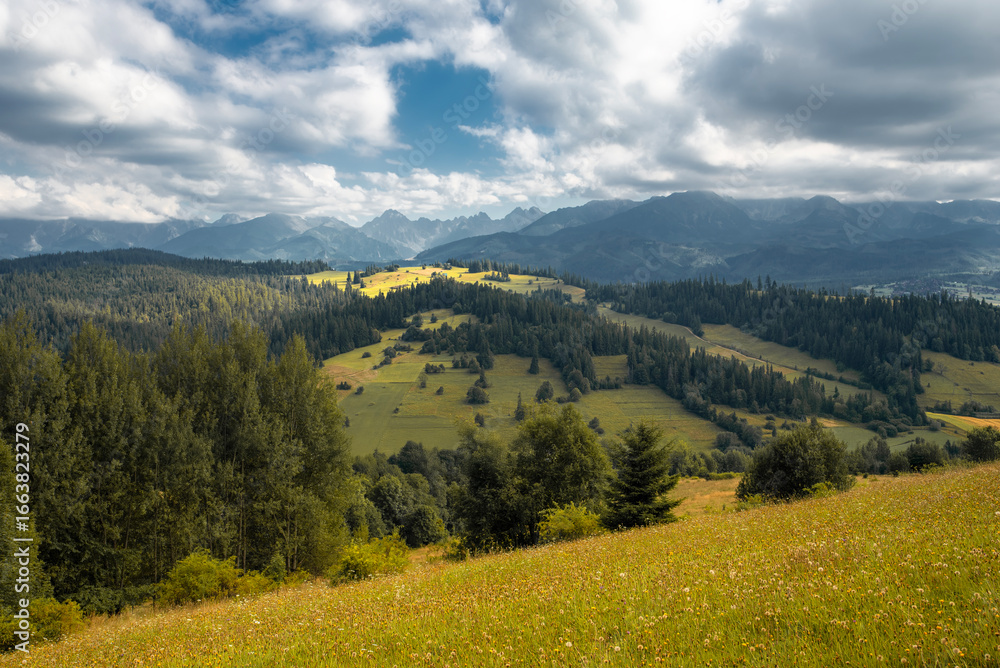 Fototapeta premium summer landscape in the mountains
