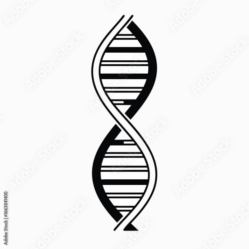 A vector illustration of DNA structure in a simple, clean black and white design. This graphical element depicts the double helix, representing biotechnology and genetic research