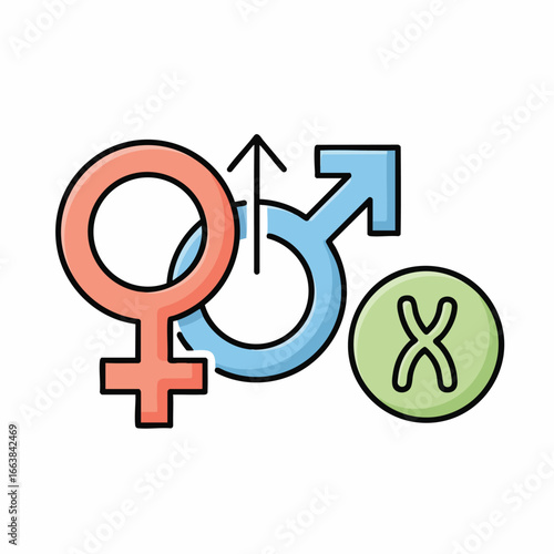 Conceptual illustration depicting gender symbols for male and female alongside an X chromosome