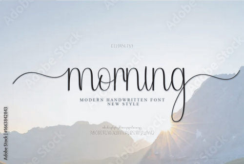 Morning signature Font Calligraphy Logotype Script Brush Font Type Font lettering handwritten
