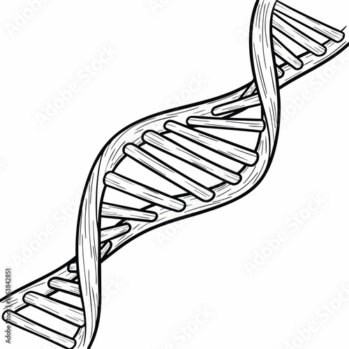 Hand-drawn DNA double helix illustration. Perfect for science, biotechnology, and genetic engineering projects