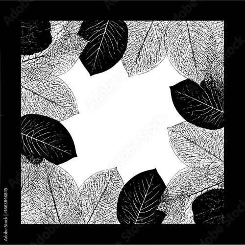 Black and white leaf vector design botanical illustration nature foliage background graphic design element frame 100