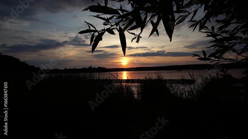Dramatic sunset over Berlin's Lake Wannsee, framed by silhouettes of branches and reeds along the peaceful southern shore.