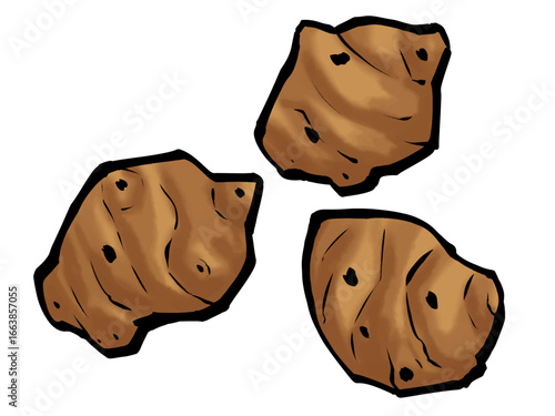 筆 キクイモ 冬野菜 菊芋 / Hand-painted Jerusalem artichoke Illustration with Brush Texture