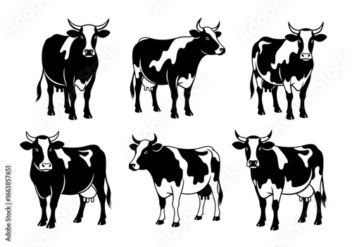 A Collection of Six Black and White Cow Illustrations Showing Various Poses and Perspectives