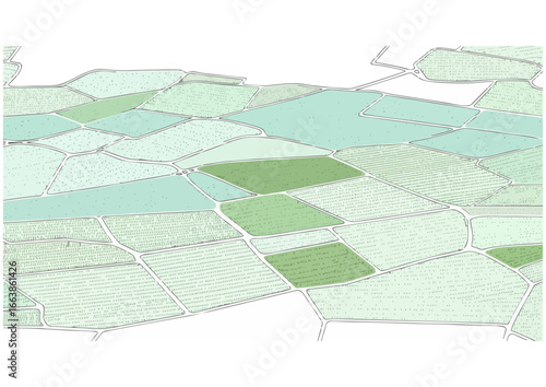 Green agricultural fields pattern on white background for farm design and copy space
