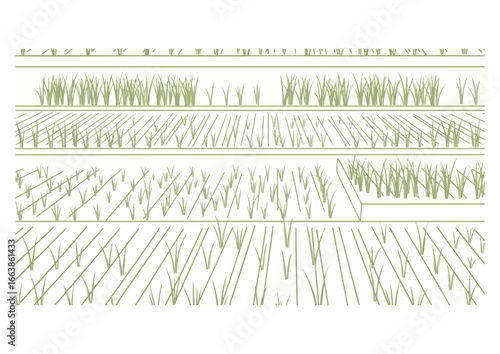 Green agricultural fields pattern on white background for farm design and copy space