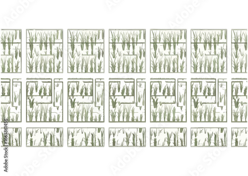 Green agricultural fields pattern on white background for farm design and copy space