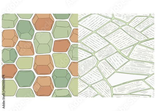 Green agricultural fields pattern on white background for farm design and copy space
