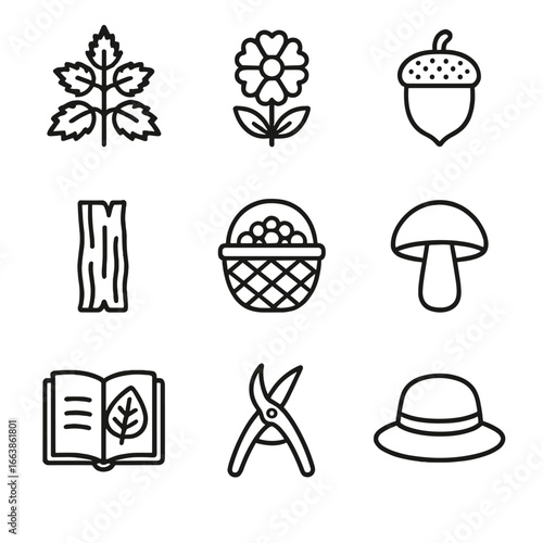 Seasonal Foraging Icons. Outline style icon of Seasonal Foraging Icons: spring nettle, summer marigold, autumn acorn, winter bark