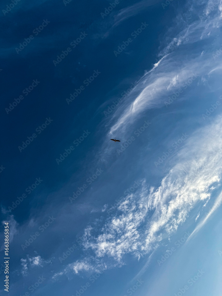 Naklejka premium sky and clouds