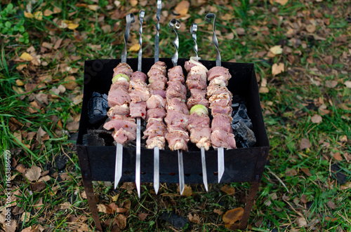 esh meat on skewers is grilled, barbecue, close-up