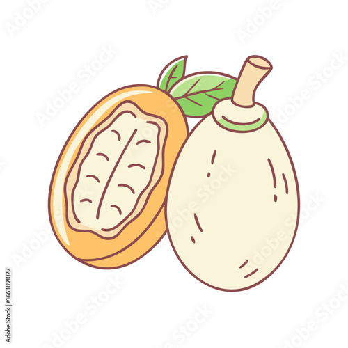 Cartoon illustration of loquat fruit, halved and whole, with leaves