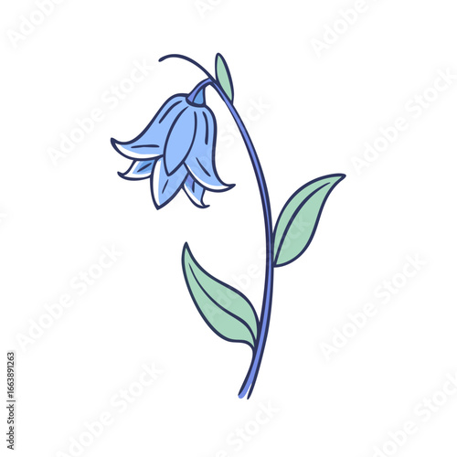 Charming hand drawn illustration of a bluebell flower with green leaves