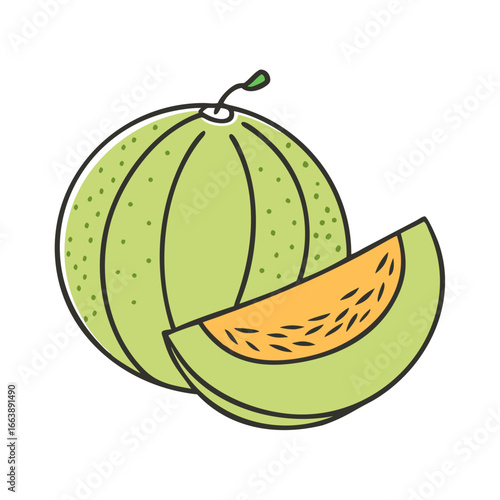 Illustration of a cantaloupe melon with a slice cut next to it