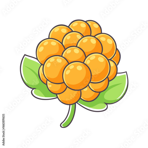 Cute and cheerful cloudberry illustration with leaves on a white background