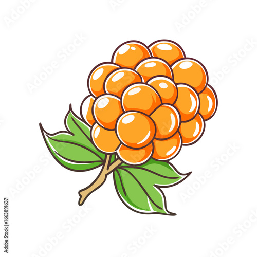 Illustration of a bright orange cloudberry or bakeapple, with green leaves