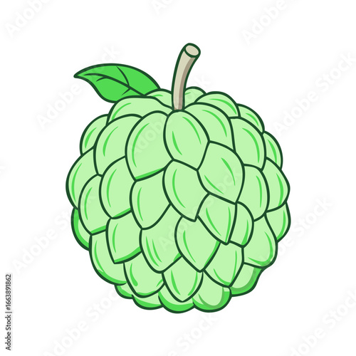 Vibrant and Detailed Illustration of a Green Sugar Apple Fruit