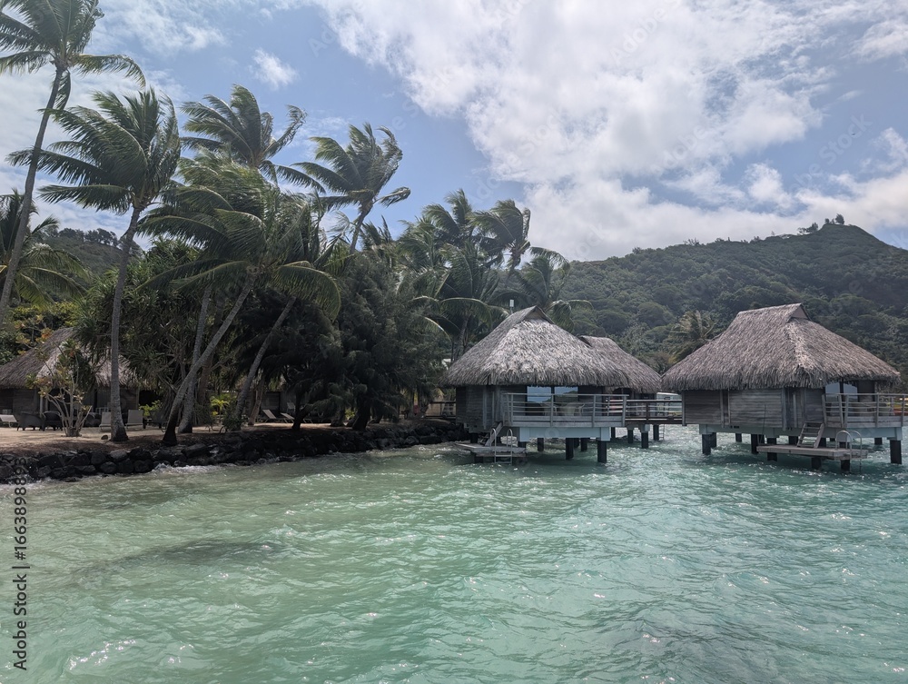 Fototapeta premium Bora bora, bora, polynesie française, la plage