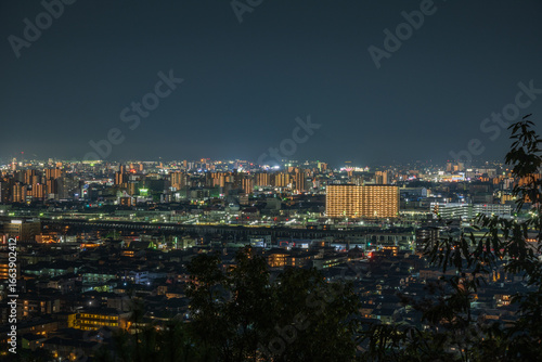 Wallpaper Mural 日本の岡山県岡山市の都市夜景と打ち上げ花火 Torontodigital.ca