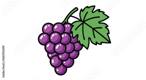 Vibrant Bunch of Purple Grapes with Fresh Green Leaf, an appetizing treat that invites to savor its refreshing sweetness and exquisite