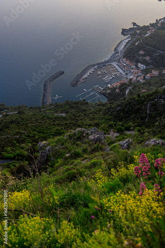 Aerial view of the coastal town of Maratea, located in Basilicata, Italy. The image captures the town’s marina, houses, and lush hills descending to the Tyrrhenian Sea
