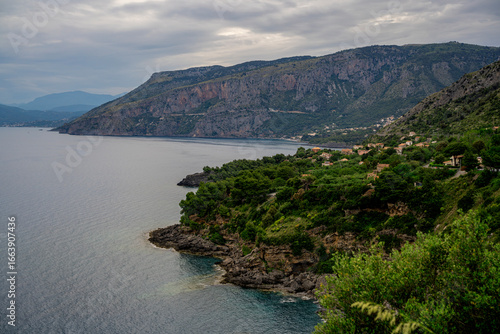 Panoramic view of the coastline near Maratea, in the Basilicata region of Italy. The scene captures a dramatic cliff, dense green pine forest, and the calm Tyrrhenian Sea