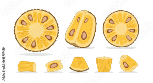 Vibrant Jackfruit Slices and Segments: A Tropical Delight Displayed in Fresh Vector Format