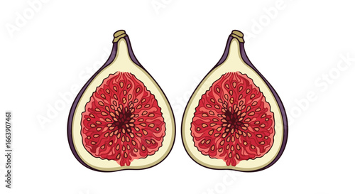 Illustration showcasing two halved figs with vibrant red interiors and a light outer shell presentation, set against a plain backdrop enhancing the