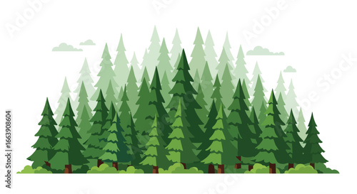 Illustration of dense evergreen trees forming a stylized forest scene, set against a white background and light cloud accents, perfect for natural