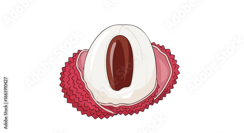 Detailed illustration showcases a halved lychee fruit revealing its translucent flesh and seed a vibrant depiction against a white backdrop