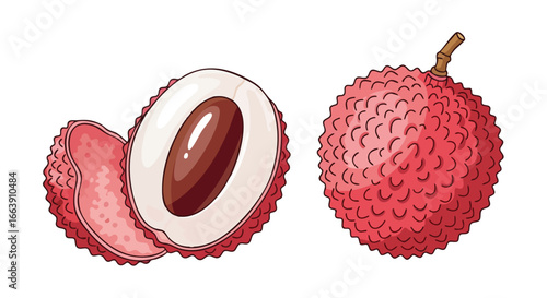 Stylized illustration of lychee fruits depicting a whole and a cross-section revealing the pulp and seed detail showcasing unique characteristics