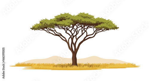 Solitary acacia tree on a golden savanna landscape illustration, vibrant colors and detailed foliage under a serene sky against the white background