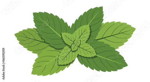 Digitally rendered depiction featuring a vibrant cluster of mint leaves on a white backdrop demonstrating botanical simplicity and freshness