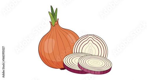 Detailed illustration depicting an onion and several onion slices, perfect for culinary and health-related designs and educational resources