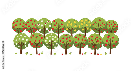 Stylized orchard with apple and pear trees in blossom and fruit season vector illustration depicting cartoon forest scene for backgrounds and prints