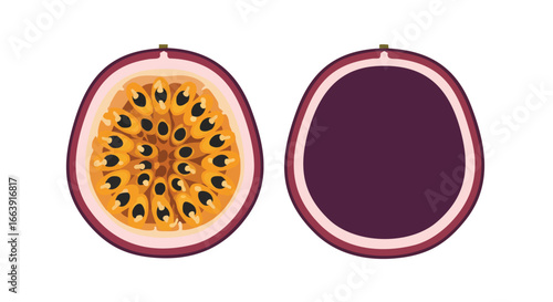 Graphical representation showcasing the internal structure and outer shell of a passion fruit in stylized simplicity