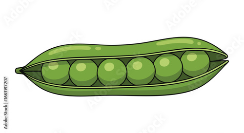 Charming illustration of a vibrant green pea pod with plump peas inside displayed against a clean white backdrop, inviting viewers to savor nature's