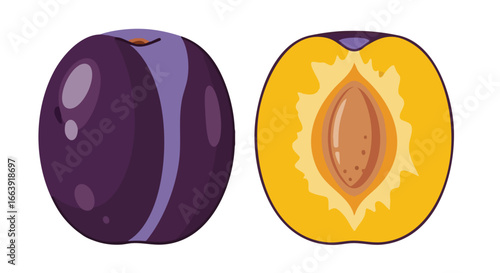 Vibrant plum illustration showcasing the fruit's outer skin and inner flesh with its pit, representing fresh produce and healthy eating